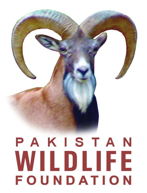 Pakistan Wildlife Foundation logo